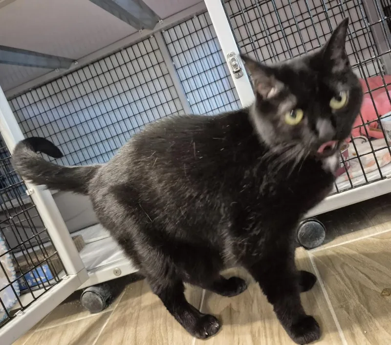 Mary Grace thumbnail 5