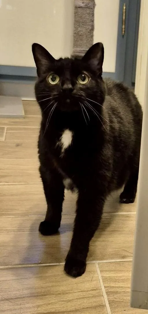 Mary Grace thumbnail 6