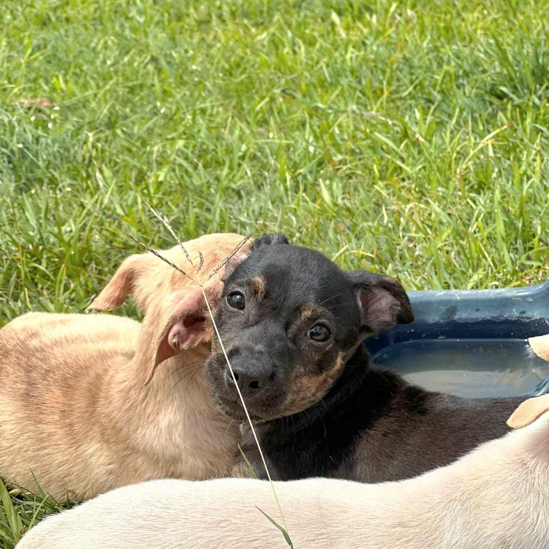 Darky "today Is The thumbnail 2