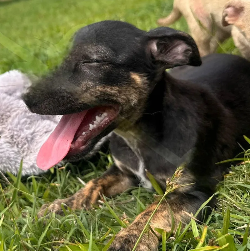 Darky "today Is The thumbnail 3