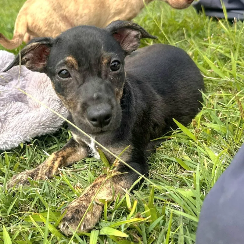 Darky "today Is The thumbnail 4