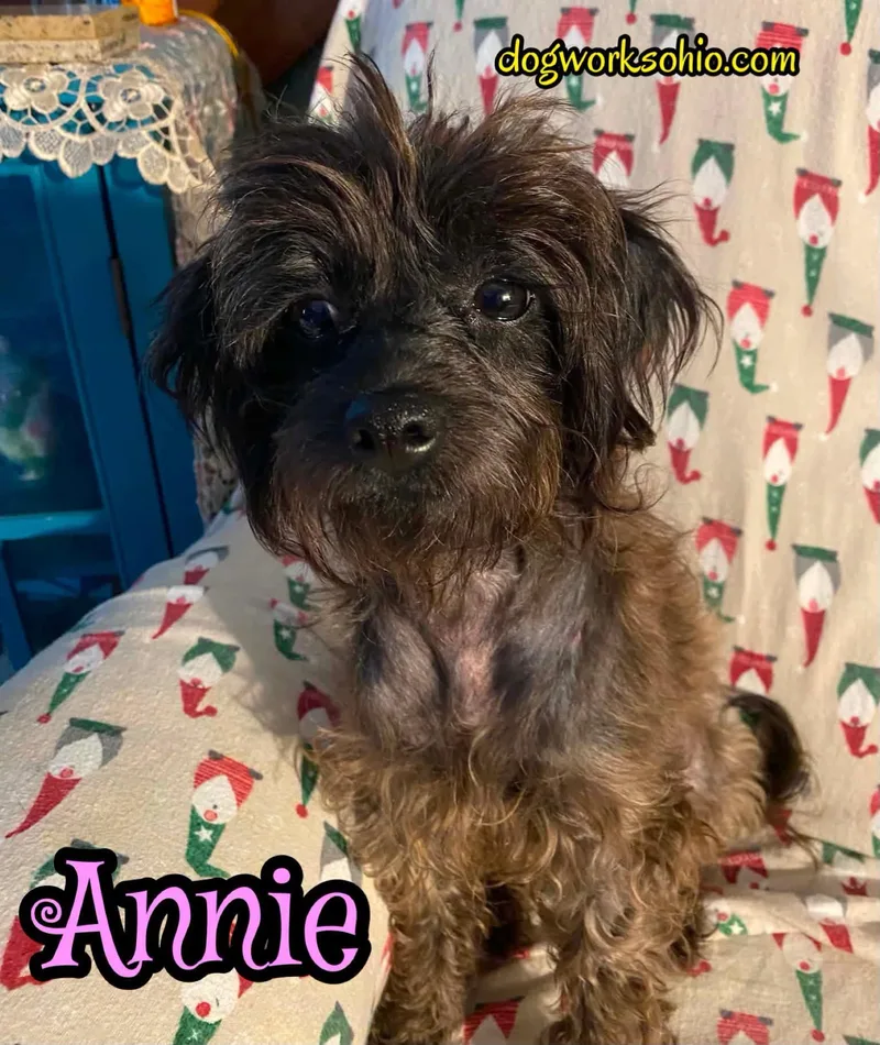 Annie