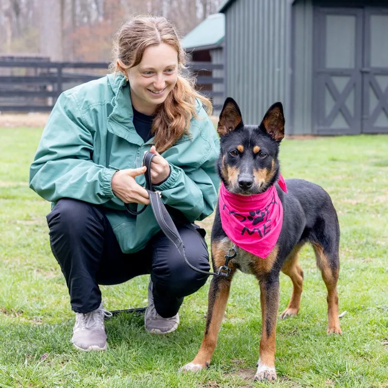 Lilahavail thumbnail 2