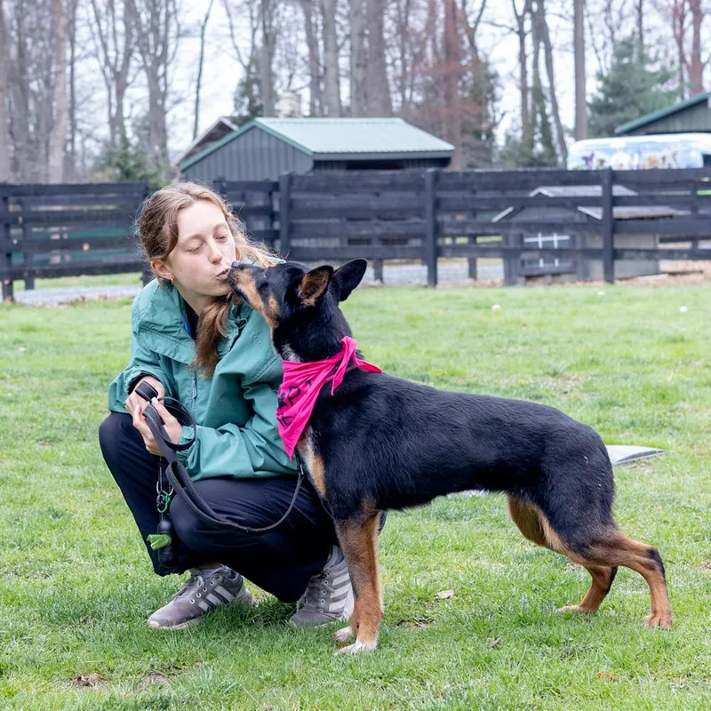 Lilahavail thumbnail 3