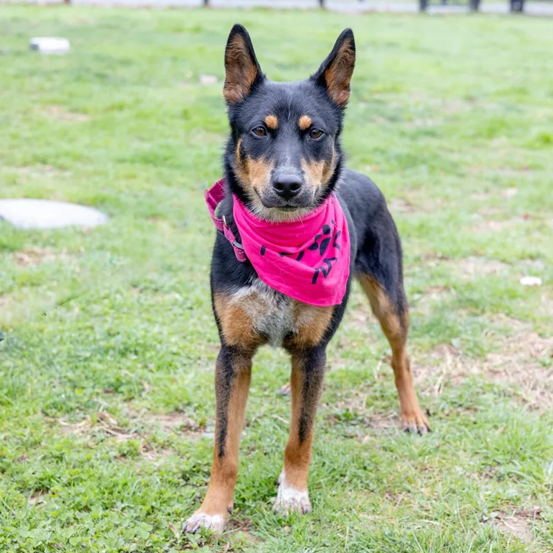 Lilahavail thumbnail 4