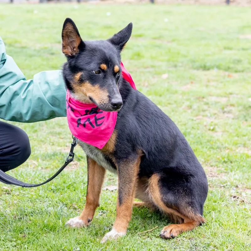 Lilahavail thumbnail 5