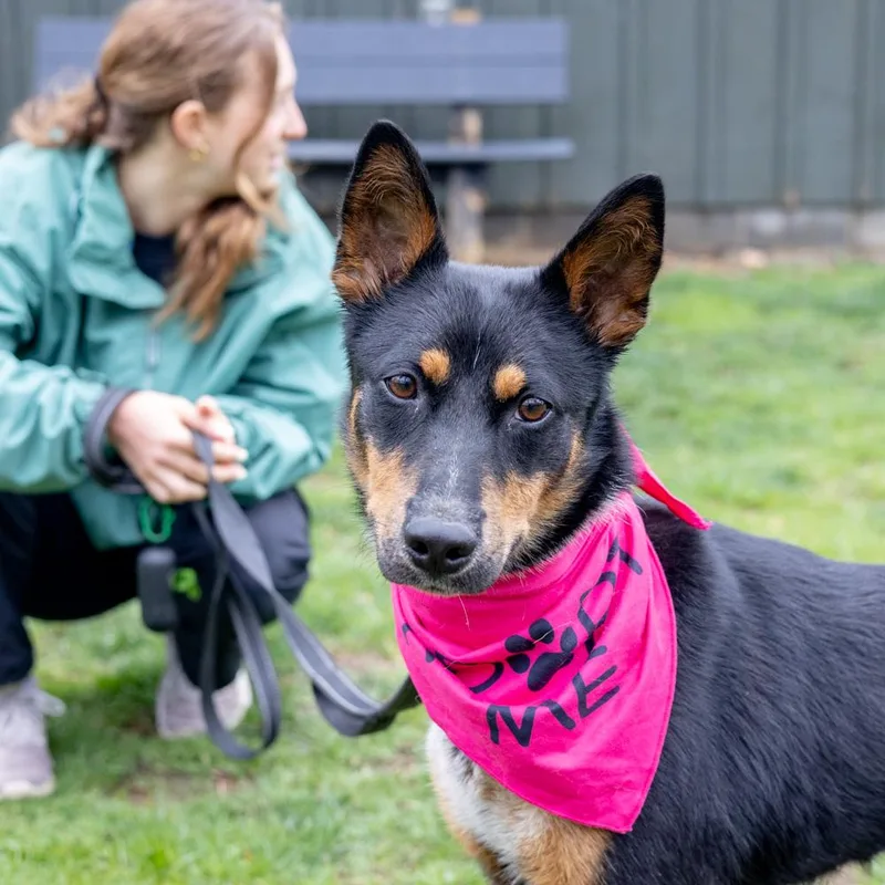 Lilahavail thumbnail 6