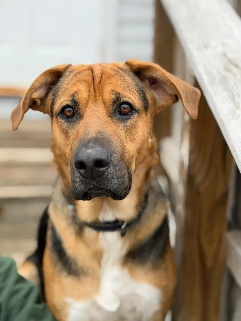 Max