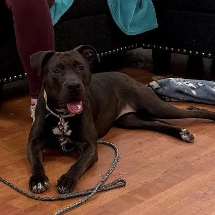 Aspen thumbnail 2