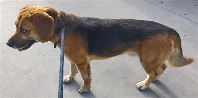 Max