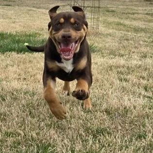 Sam