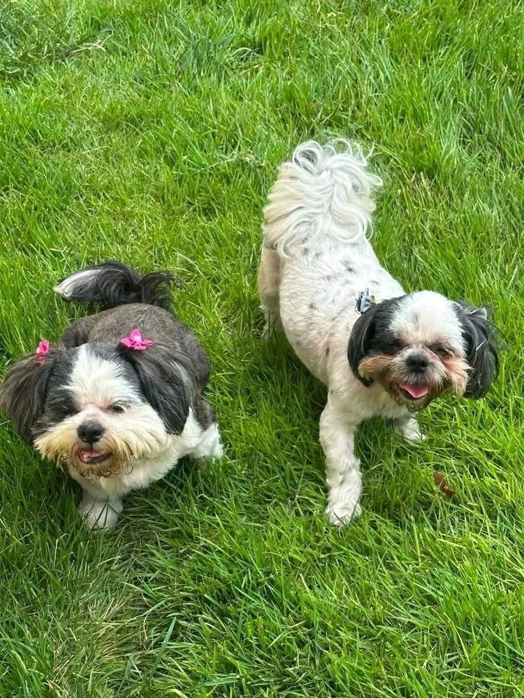 Klohe and Pebbles thumbnail 3