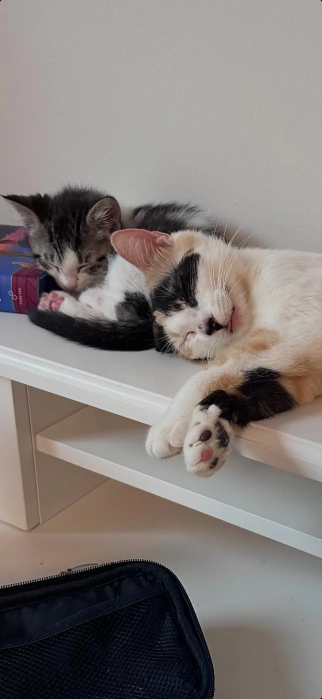 Lovey and baby thumbnail 4