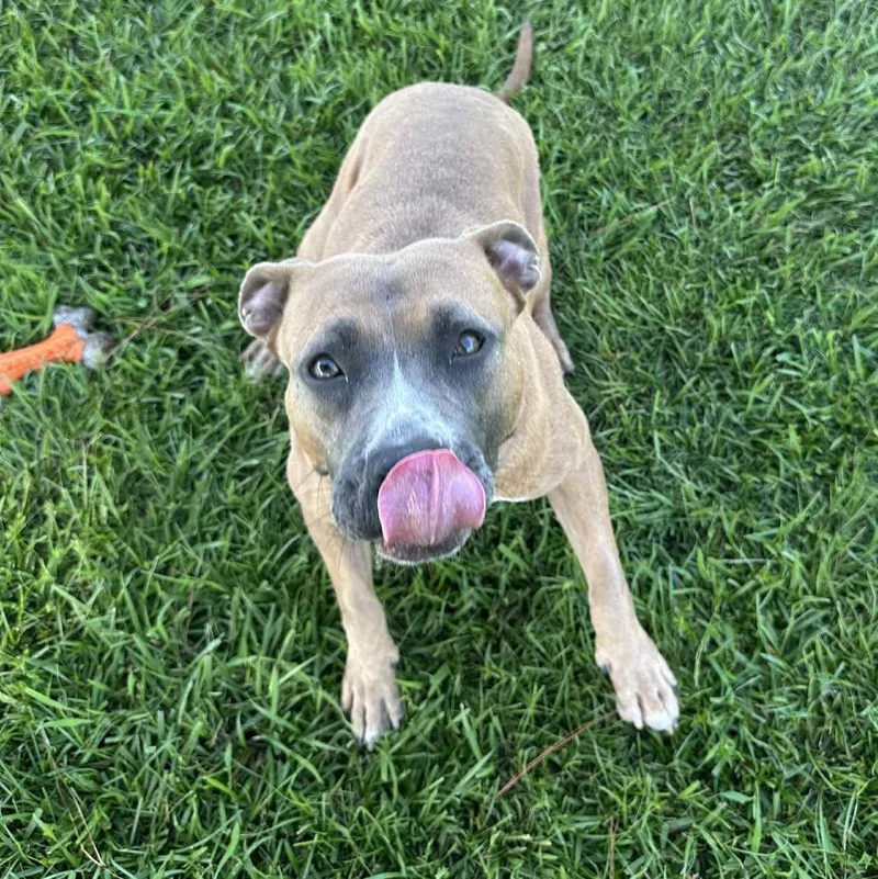 Aphrodite thumbnail 2