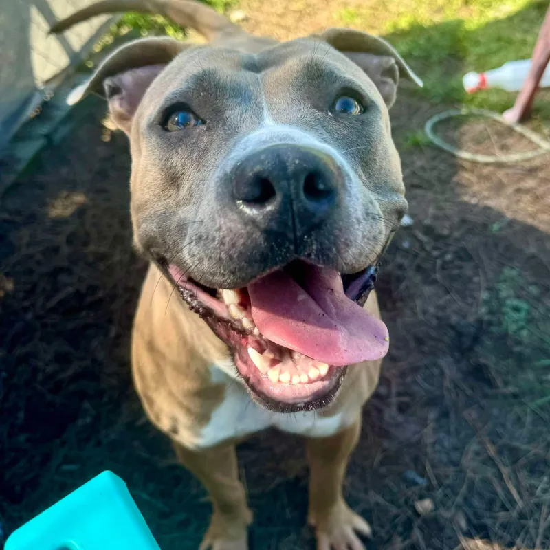 Aphrodite thumbnail 3