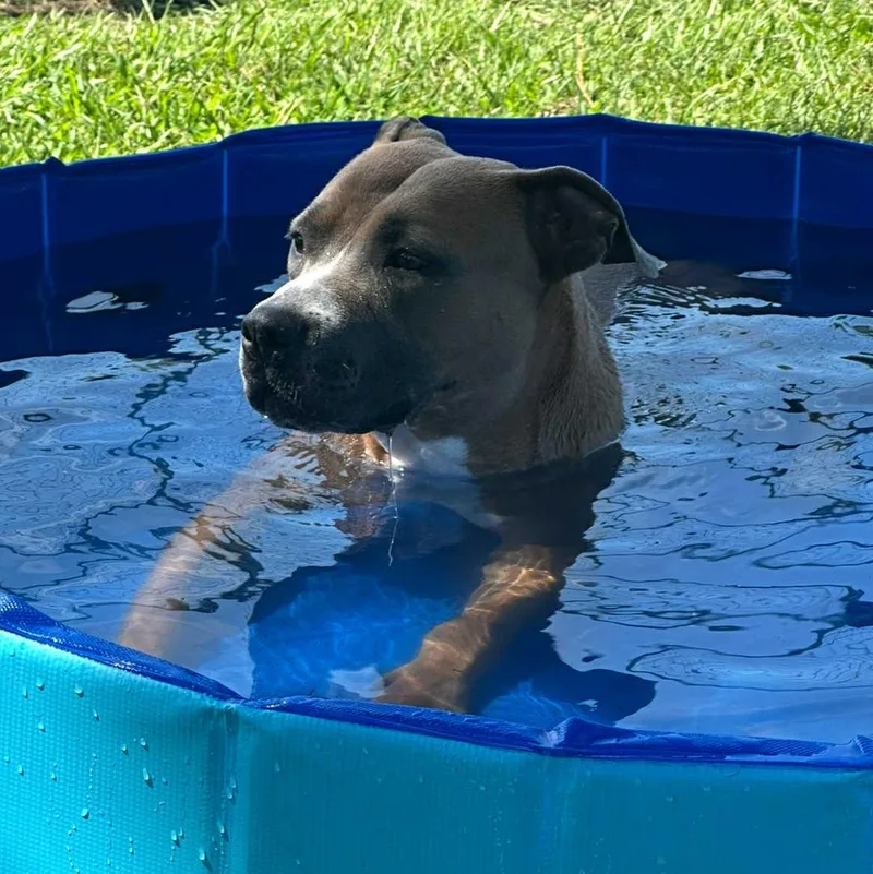 Aphrodite thumbnail 4