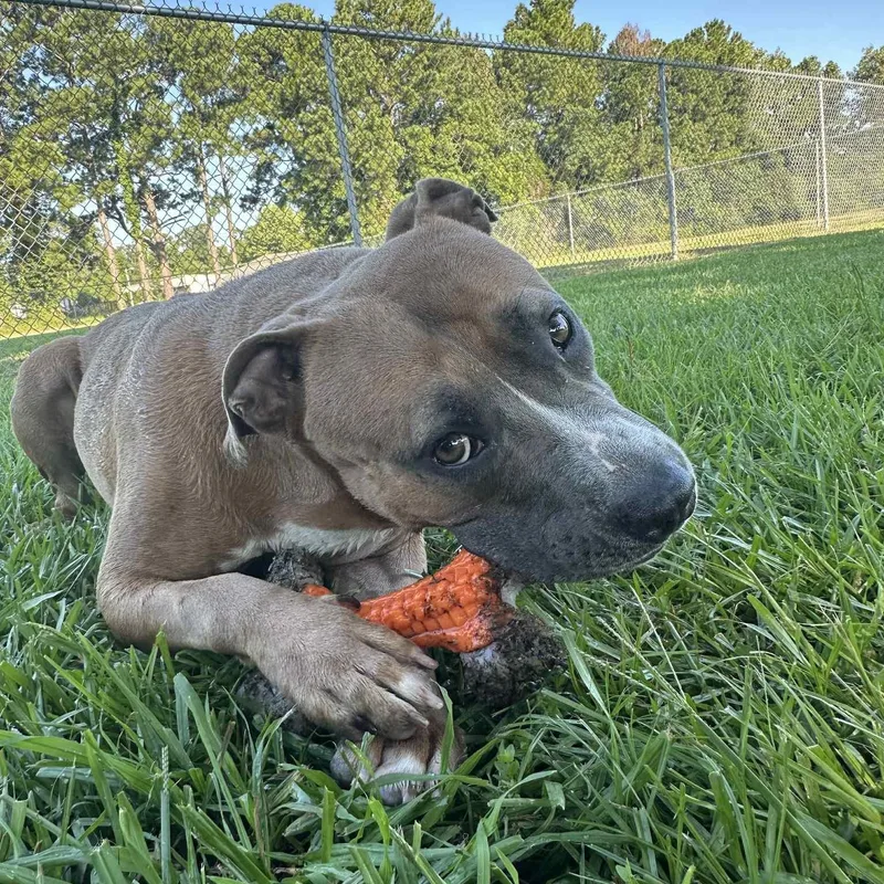 Aphrodite thumbnail 5