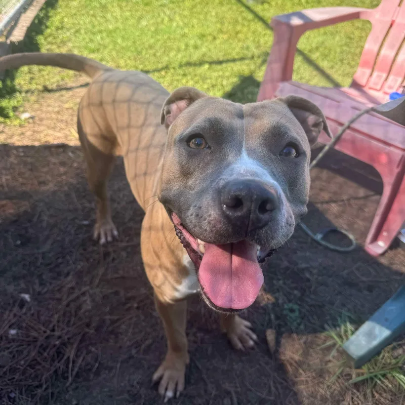 Aphrodite thumbnail 6