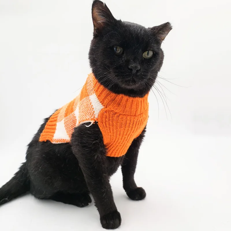 Cookie Cat thumbnail 5