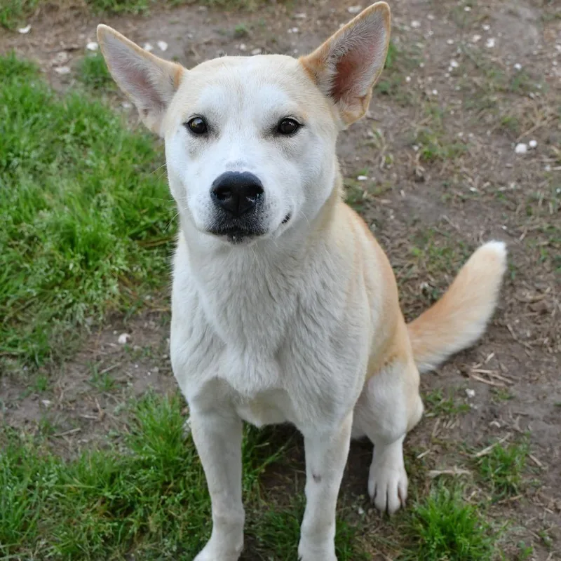 Catalina thumbnail 3