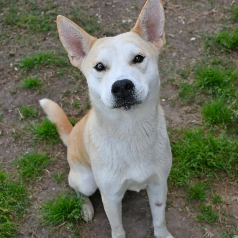 Catalina thumbnail 5