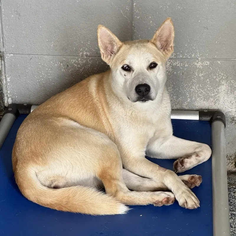 Catalina thumbnail 6