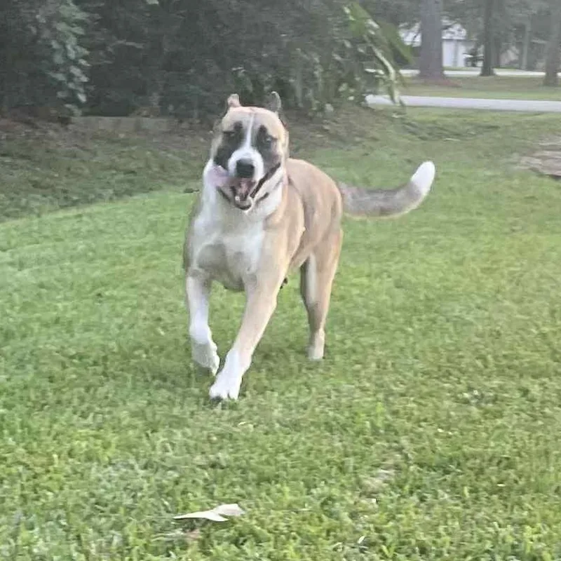 Betty Gs thumbnail 2