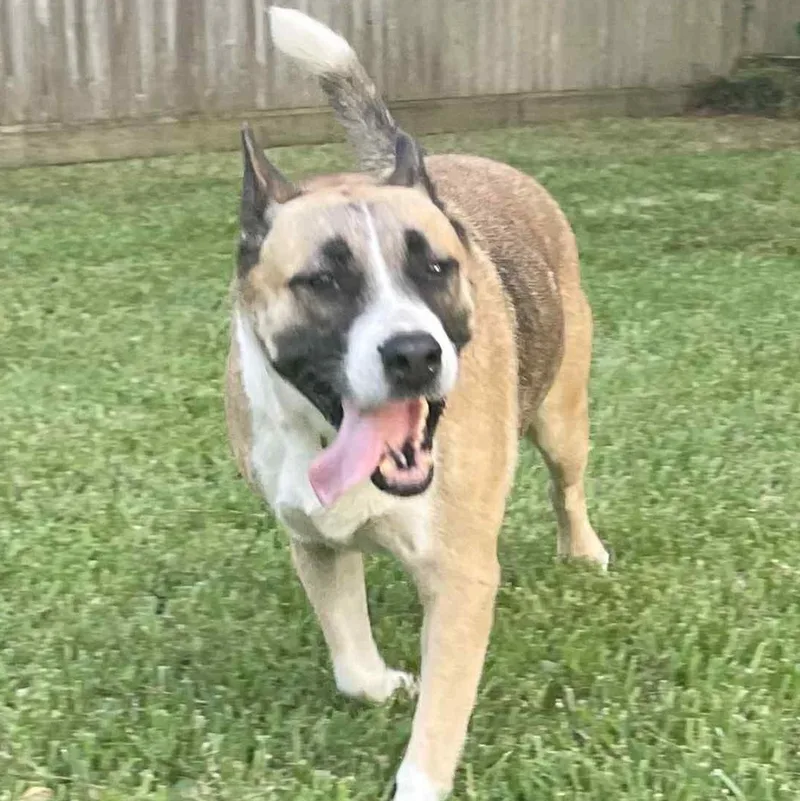 Betty Gs thumbnail 3