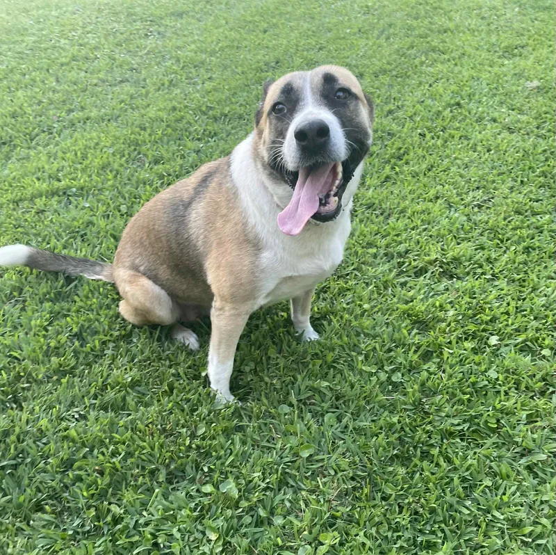 Betty Gs thumbnail 4