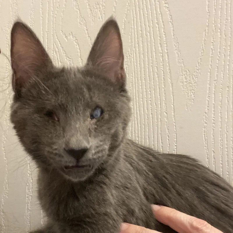 Buffy & Willow thumbnail 2