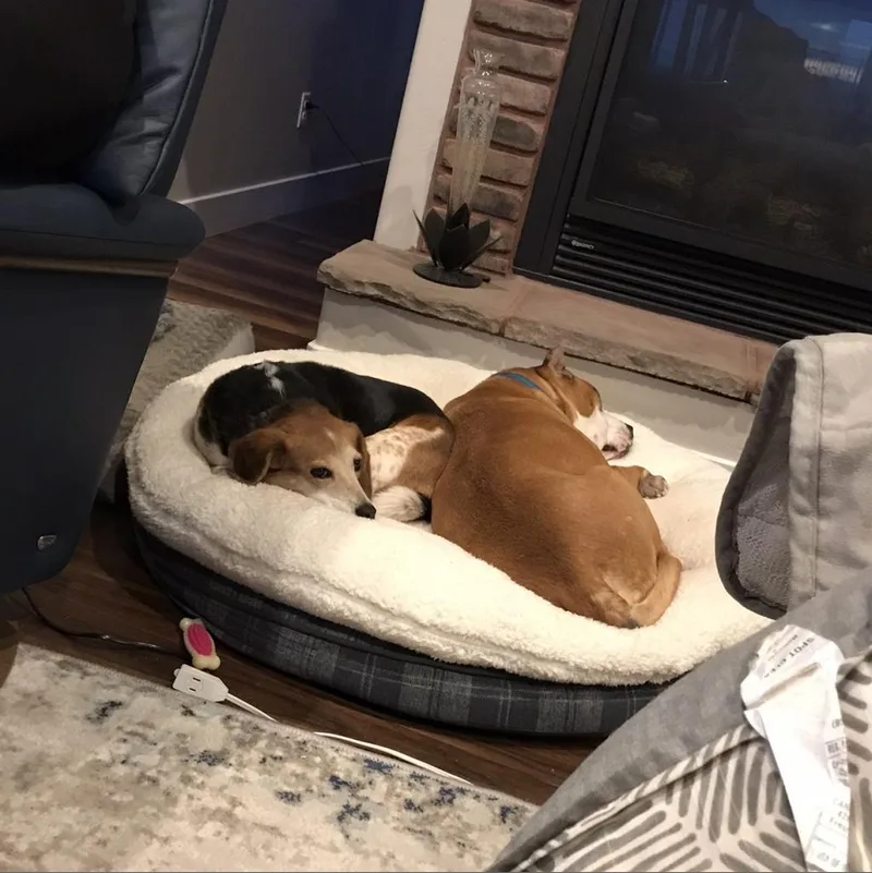 Mary Jane thumbnail 2