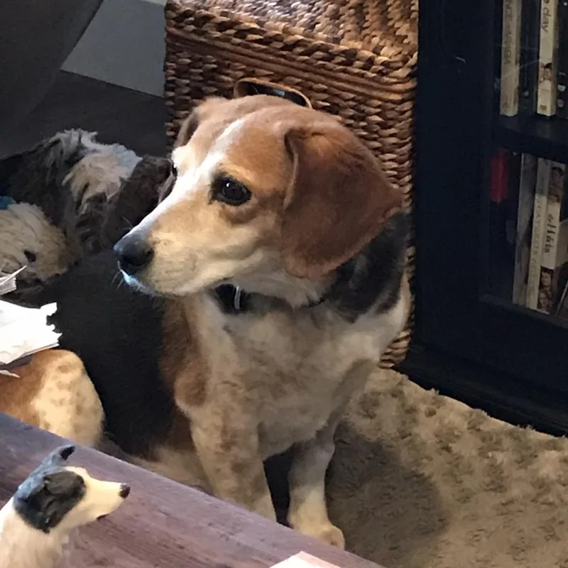 Mary Jane thumbnail 3