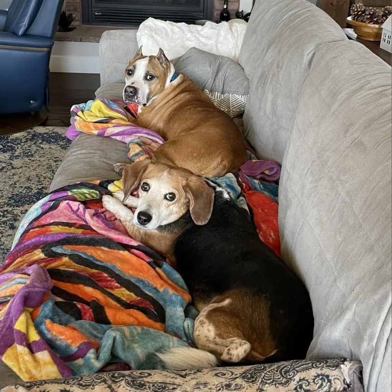 Mary Jane thumbnail 5