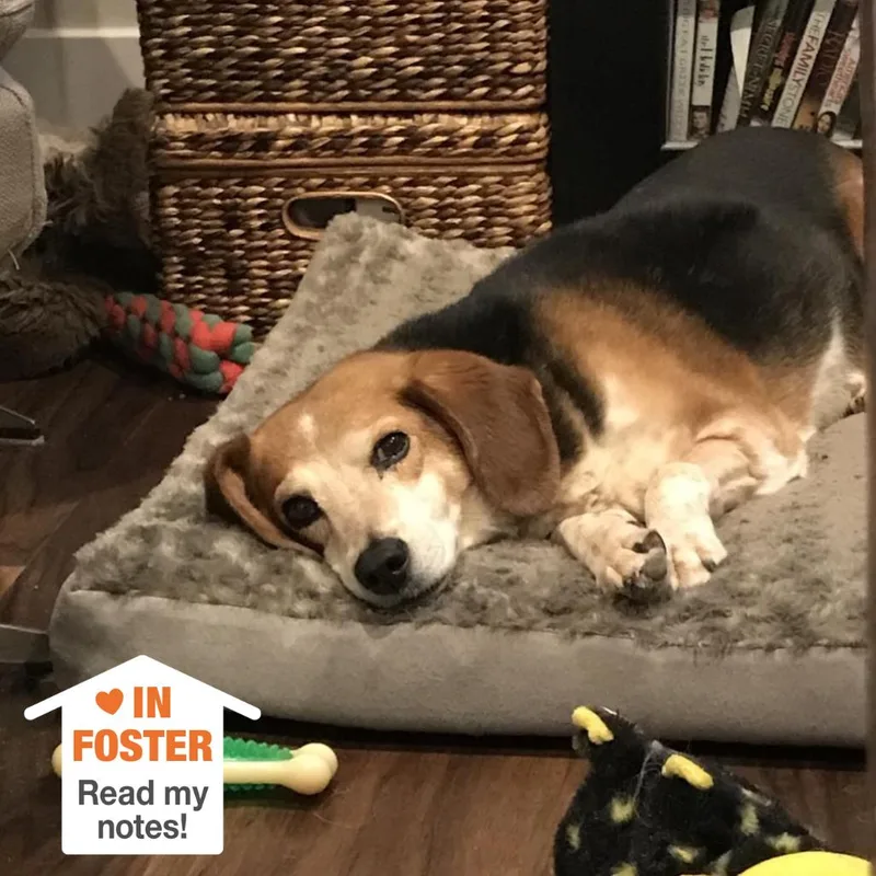 Mary Jane thumbnail 6