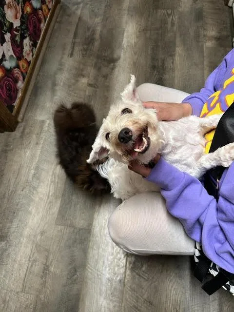 Jude