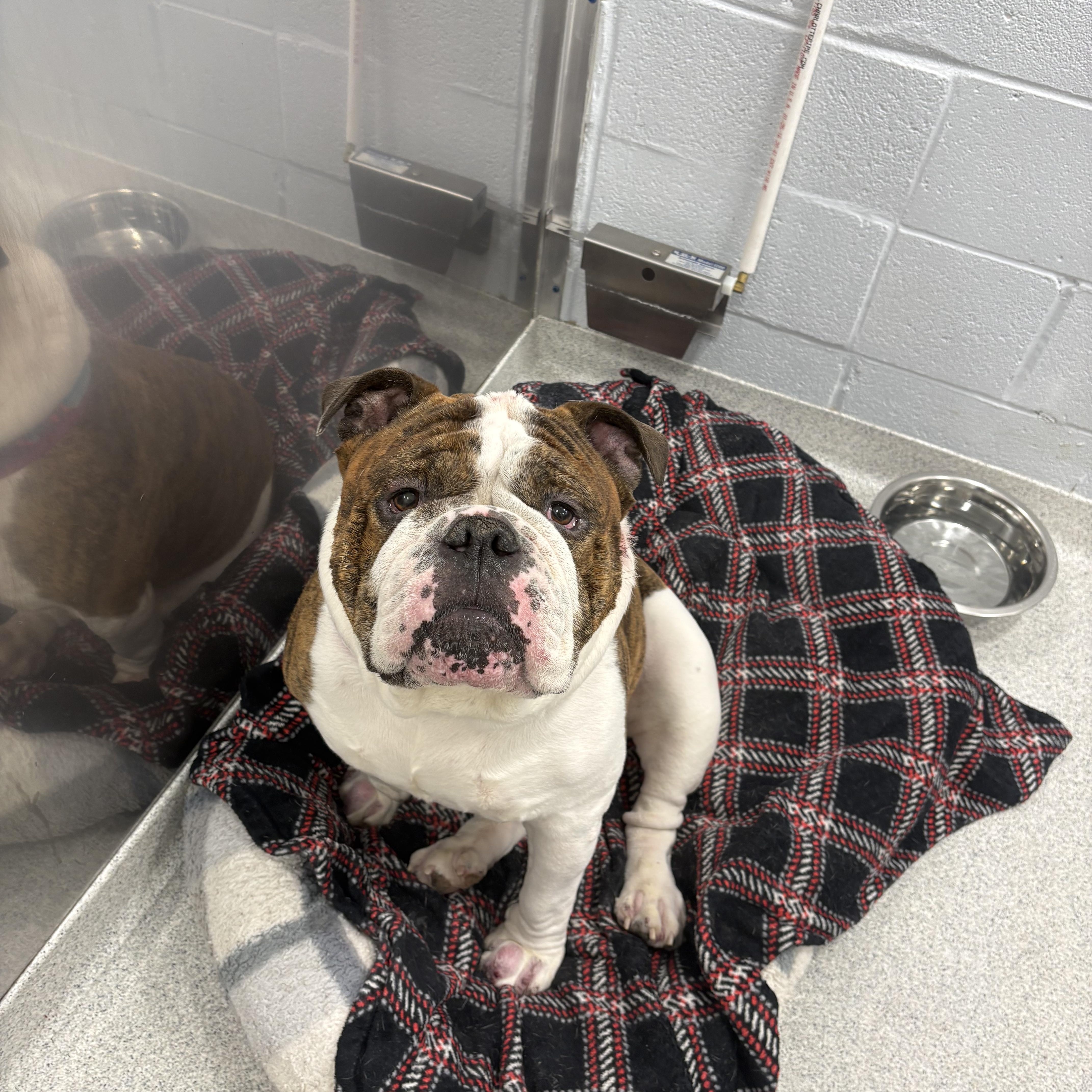 Hubba Bubba thumbnail 3