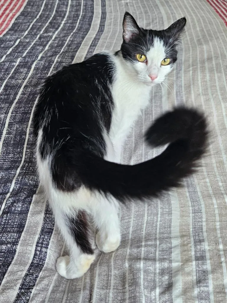 Tilly