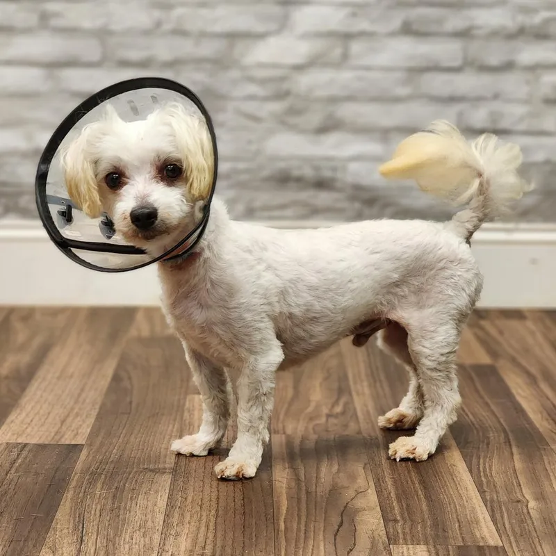 Coca Cola thumbnail 2