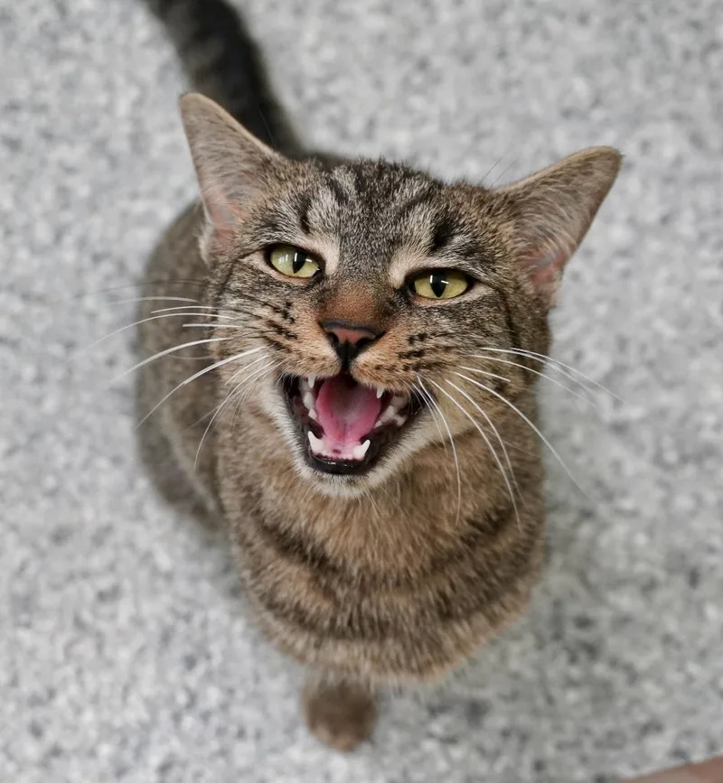 Young Man thumbnail 2