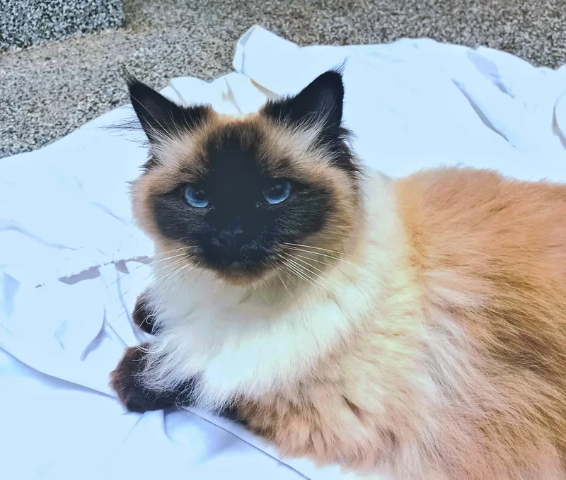 Ethel thumbnail 2
