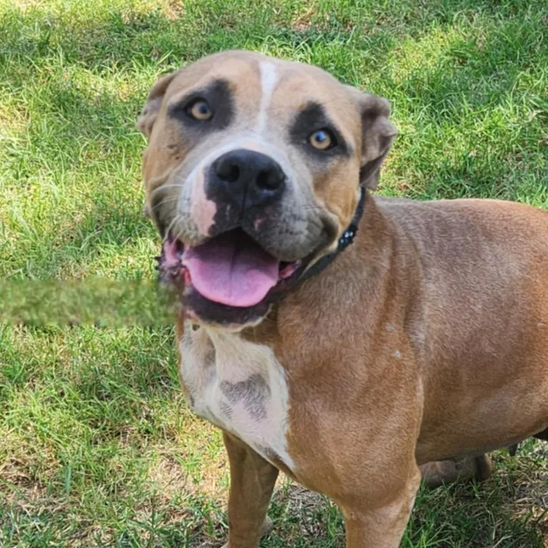 Grace Jum thumbnail 2