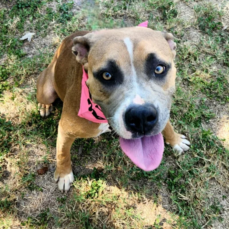 Grace Jum thumbnail 3