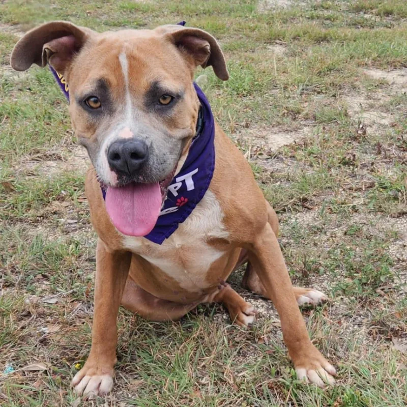 Grace Jum thumbnail 6