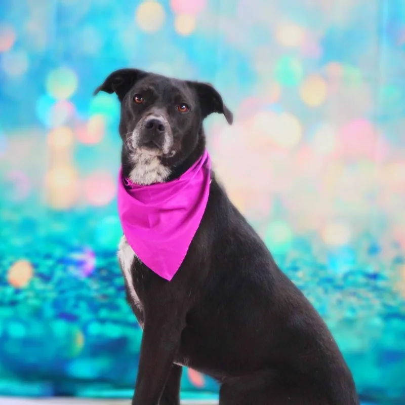 Laila Aka Quintana Jum thumbnail 3