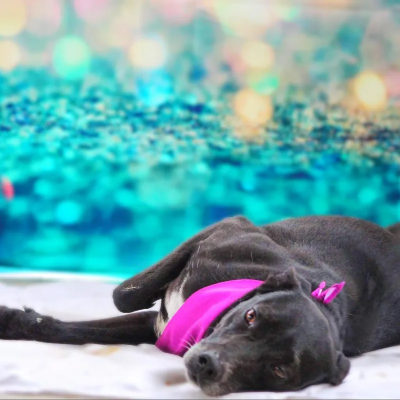 Laila Aka Quintana Jum thumbnail 4