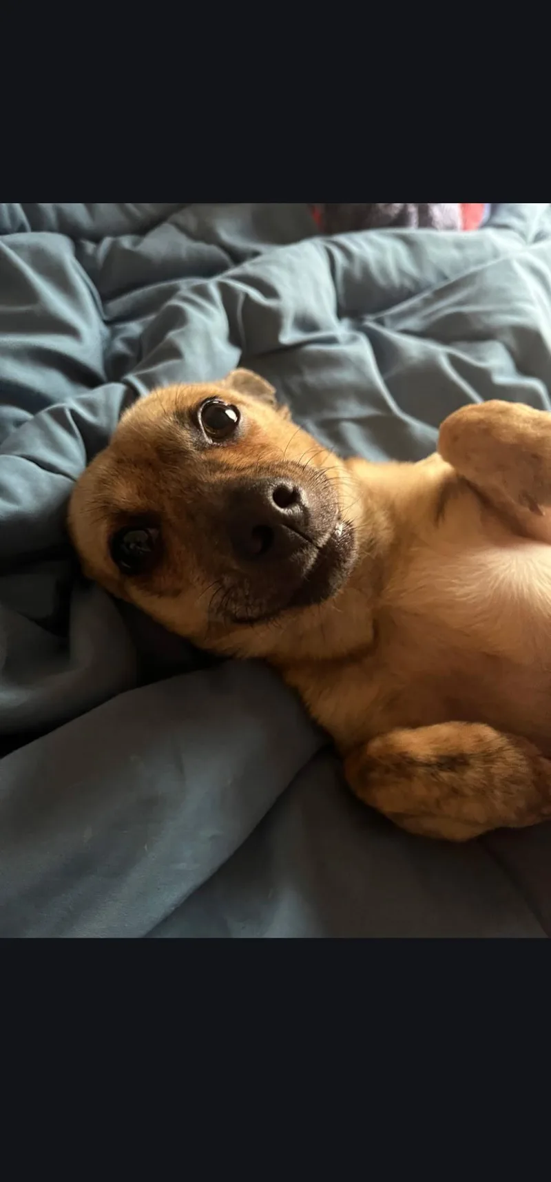 Tator Totowner Passed Away thumbnail 2