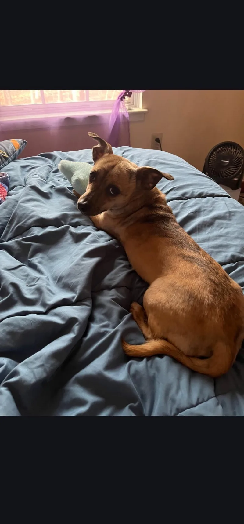 Tator Totowner Passed Away