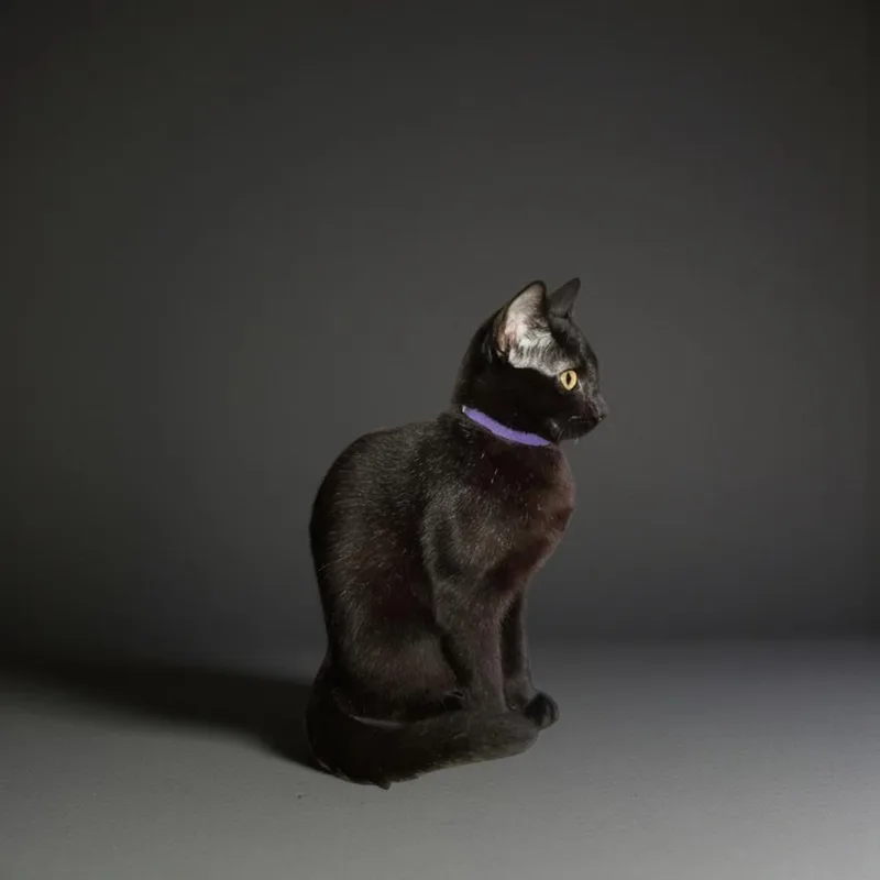 Braeburn thumbnail 4