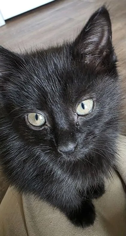 Anya