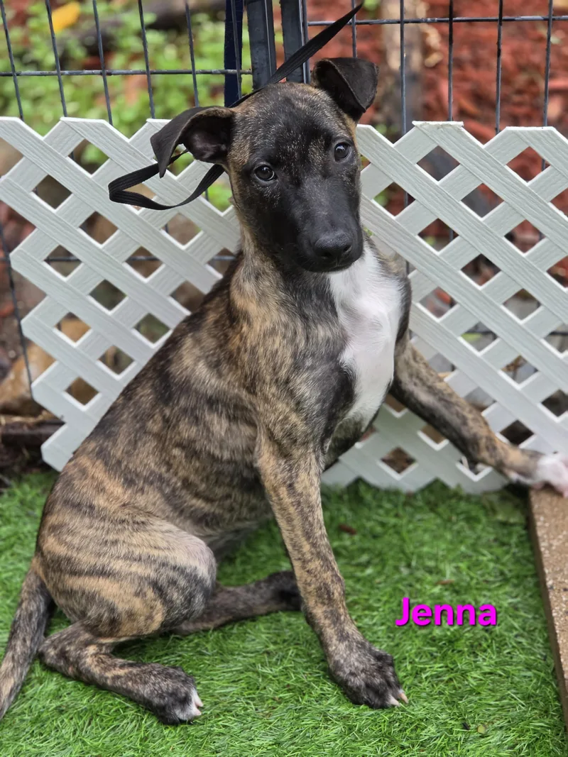 Jenna thumbnail 3